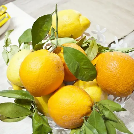 Nocleg ze śniadaniem D'orleans 4*