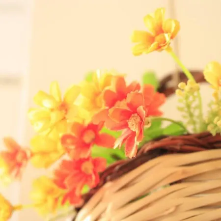 D'orleans 4* Palermo