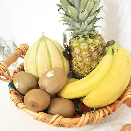 D'orleans Nocleg ze śniadaniem 4*