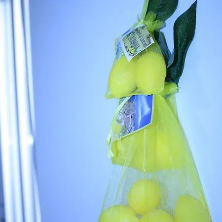 D'orleans パレルモ